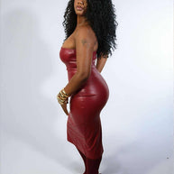 Cranberry leather Dress